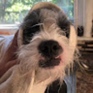 Meet your Posher, Dmitri